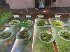 -百鱼庄(仙葫店)
