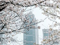 -西北湖绿化广场
