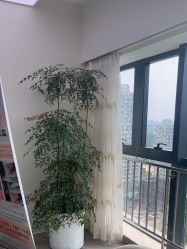 -HEYAN荷妍专业脱毛连锁机构
