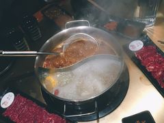 -手选潮汕鲜活牛肉火锅(二七广场店)