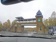 -莫尔道嘎国家森林公园
