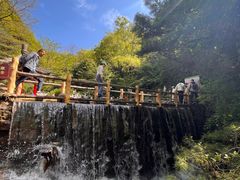 -王顺山国家森林公园