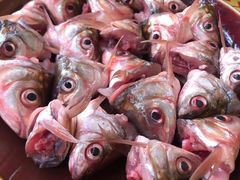 -章记正宗南岗鱼蛋火锅