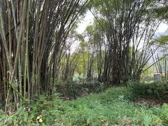 -明仕田园