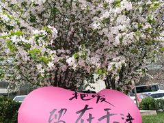 -天津水游城丽筠酒店