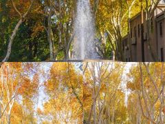-东南大学(四牌楼校区)
