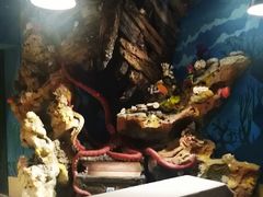 -珠海横琴国家地理探险家中心(创新方)