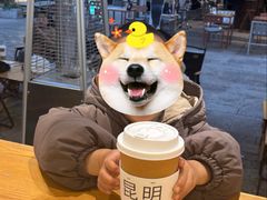 -上山喝茶origin(同仁街店)