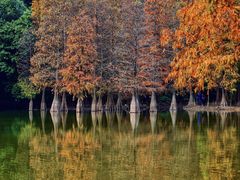 -广州市白云山风景名胜区