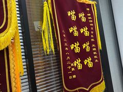 -伟伟宠物医院·CT影像中心·瑞派犬猫综合性门诊(汉口总院)