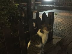 -蘭·日本料理铁板烧(碧云路店)
