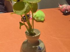 -小湾茶楼