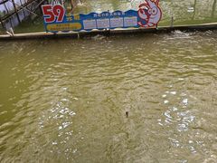 -粮心小农·大头虾亲子生态园(长发店)