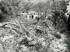 -岳麓山风景名胜区