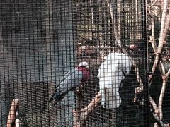 九龙公园-九龙公园
