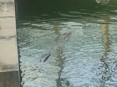 -石家庄市动物园