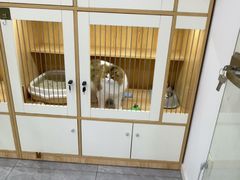 -爱洗澡的猫(天河路店)