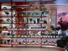 -二酉书店TOYOU BOOKS