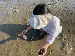-坝光海滩
