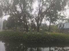 -成飞公园