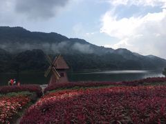 -广州市石门国家森林公园