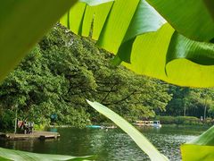 -晓港公园