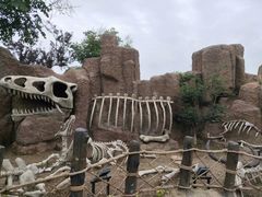 -华夏文旅海洋公园