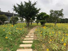 -龙江公园