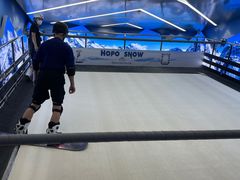 -Hopo Snow 城市滑雪空间(滨江宝龙城店)