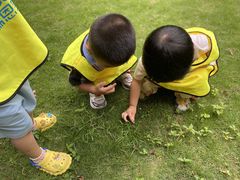 -瑞恩宝感统训练·语言提升·蒙氏托育中心