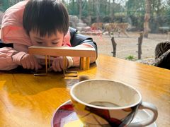 -上海野生动物园老虎餐厅