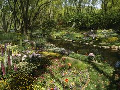 -上海共青森林公园