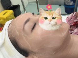 -金圣医疗美容