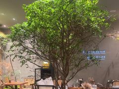 -森SPA·泰式按摩·精油Massage(宝安中心店)
