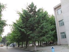 -辽宁大学(崇山校区)