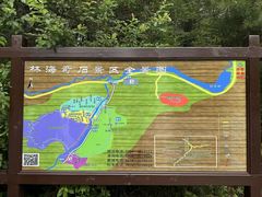 -汤旺河林海奇石景区