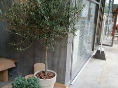 -喜茶(上海打浦桥日月光gelato lab+店)