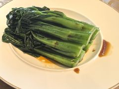 -云山堂广式早茶