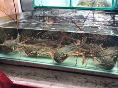 -班赞海鲜市场