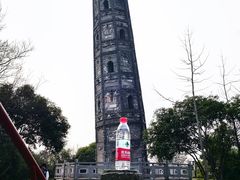 -上海佘山国家森林公园天马山园