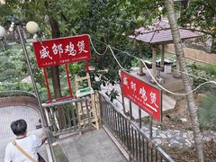 -威邵鸡煲(西华路总店)