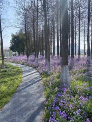 -大喜成国际宴会中心(金华店)