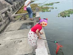 -溪口-滕头旅游景区