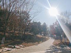 -莫子山公园