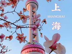 -东方明珠广播电视塔