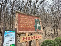 -金龙寺国家森林公园