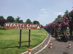 -广富林郊野公园