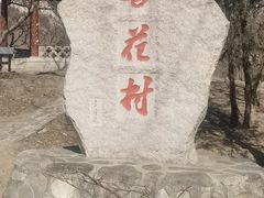 -北京凤凰岭