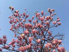 -艾溪湖湿地公园