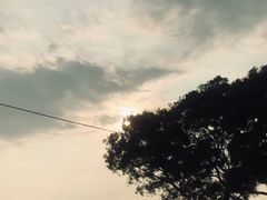-台山黑沙湾海浴场